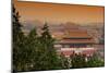 China 10MKm2 Collection - The Forbidden City - Beijing-Philippe Hugonnard-Mounted Photographic Print