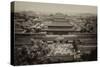 China 10MKm2 Collection - The Forbidden City - Beijing-Philippe Hugonnard-Stretched Canvas