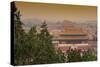 China 10MKm2 Collection - The Forbidden City - Beijing-Philippe Hugonnard-Stretched Canvas