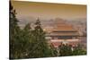 China 10MKm2 Collection - The Forbidden City - Beijing-Philippe Hugonnard-Stretched Canvas