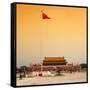 China 10MKm2 Collection - Tiananmen Square-Philippe Hugonnard-Framed Stretched Canvas
