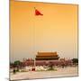 China 10MKm2 Collection - Tiananmen Square-Philippe Hugonnard-Mounted Photographic Print