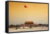 China 10MKm2 Collection - Tiananmen Square-Philippe Hugonnard-Framed Stretched Canvas