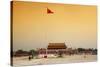 China 10MKm2 Collection - Tiananmen Square-Philippe Hugonnard-Stretched Canvas