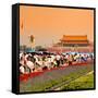 China 10MKm2 Collection - Tiananmen Square-Philippe Hugonnard-Framed Stretched Canvas