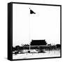 China 10MKm2 Collection - Tiananmen Square-Philippe Hugonnard-Framed Stretched Canvas