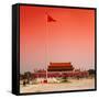 China 10MKm2 Collection - Tiananmen Square-Philippe Hugonnard-Framed Stretched Canvas