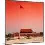 China 10MKm2 Collection - Tiananmen Square-Philippe Hugonnard-Mounted Photographic Print