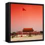 China 10MKm2 Collection - Tiananmen Square-Philippe Hugonnard-Framed Stretched Canvas