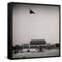 China 10MKm2 Collection - Tiananmen Square-Philippe Hugonnard-Framed Stretched Canvas