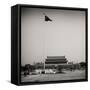 China 10MKm2 Collection - Tiananmen Square-Philippe Hugonnard-Framed Stretched Canvas