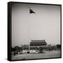 China 10MKm2 Collection - Tiananmen Square-Philippe Hugonnard-Framed Stretched Canvas