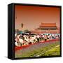 China 10MKm2 Collection - Tiananmen Square-Philippe Hugonnard-Framed Stretched Canvas