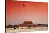 China 10MKm2 Collection - Tiananmen Square-Philippe Hugonnard-Stretched Canvas