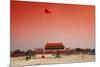 China 10MKm2 Collection - Tiananmen Square-Philippe Hugonnard-Mounted Photographic Print