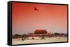 China 10MKm2 Collection - Tiananmen Square-Philippe Hugonnard-Framed Stretched Canvas