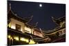 China 10MKm2 Collection - Traditional Architecture in Yuyuan Garden at night - Shanghai-Philippe Hugonnard-Mounted Photographic Print