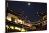 China 10MKm2 Collection - Traditional Architecture in Yuyuan Garden at night - Shanghai-Philippe Hugonnard-Mounted Photographic Print