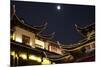 China 10MKm2 Collection - Traditional Architecture in Yuyuan Garden at night - Shanghai-Philippe Hugonnard-Mounted Photographic Print