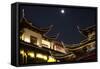 China 10MKm2 Collection - Traditional Architecture in Yuyuan Garden at night - Shanghai-Philippe Hugonnard-Framed Stretched Canvas