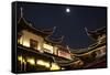 China 10MKm2 Collection - Traditional Architecture in Yuyuan Garden at night - Shanghai-Philippe Hugonnard-Framed Stretched Canvas