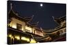 China 10MKm2 Collection - Traditional Architecture in Yuyuan Garden at night - Shanghai-Philippe Hugonnard-Stretched Canvas