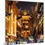 China 10MKm2 Collection - Traditional Architecture in Yuyuan Garden at night - Shanghai-Philippe Hugonnard-Mounted Photographic Print