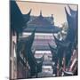 China 10MKm2 Collection - Traditional Architecture in Yuyuan Garden - Shanghai-Philippe Hugonnard-Mounted Photographic Print