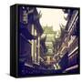 China 10MKm2 Collection - Traditional Architecture in Yuyuan Garden - Shanghai-Philippe Hugonnard-Framed Stretched Canvas