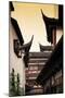 China 10MKm2 Collection - Traditional Architecture in Yuyuan Garden - Shanghai-Philippe Hugonnard-Mounted Photographic Print