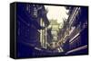 China 10MKm2 Collection - Traditional Architecture in Yuyuan Garden - Shanghai-Philippe Hugonnard-Framed Stretched Canvas