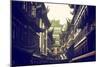 China 10MKm2 Collection - Traditional Architecture in Yuyuan Garden - Shanghai-Philippe Hugonnard-Mounted Photographic Print