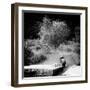 China 10MKm2 Collection - Traditional Washing-Philippe Hugonnard-Framed Photographic Print