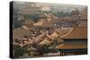 China 10MKm2 Collection - View of the roofs of Forbidden City-Philippe Hugonnard-Stretched Canvas