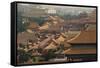 China 10MKm2 Collection - View of the roofs of Forbidden City-Philippe Hugonnard-Framed Stretched Canvas