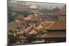 China 10MKm2 Collection - View of the roofs of Forbidden City-Philippe Hugonnard-Mounted Photographic Print