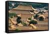 China 10MKm2 Collection - View of the roofs of Forbidden City-Philippe Hugonnard-Framed Stretched Canvas