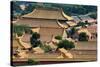 China 10MKm2 Collection - View of the roofs of Forbidden City-Philippe Hugonnard-Stretched Canvas