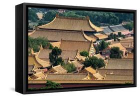 China 10MKm2 Collection - View of the roofs of Forbidden City-Philippe Hugonnard-Framed Stretched Canvas