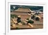 China 10MKm2 Collection - View of the roofs of Forbidden City-Philippe Hugonnard-Framed Photographic Print