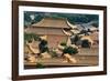 China 10MKm2 Collection - View of the roofs of Forbidden City-Philippe Hugonnard-Framed Photographic Print