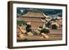 China 10MKm2 Collection - View of the roofs of Forbidden City-Philippe Hugonnard-Framed Photographic Print