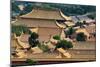 China 10MKm2 Collection - View of the roofs of Forbidden City-Philippe Hugonnard-Mounted Photographic Print