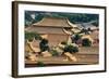 China 10MKm2 Collection - View of the roofs of Forbidden City-Philippe Hugonnard-Framed Photographic Print