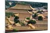 China 10MKm2 Collection - View of the roofs of Forbidden City-Philippe Hugonnard-Mounted Photographic Print