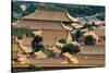 China 10MKm2 Collection - View of the roofs of Forbidden City-Philippe Hugonnard-Stretched Canvas