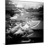 China 10MKm2 Collection - View of the roofs of Forbidden City-Philippe Hugonnard-Mounted Photographic Print