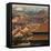 China 10MKm2 Collection - View of the roofs of Forbidden City-Philippe Hugonnard-Framed Stretched Canvas