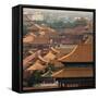 China 10MKm2 Collection - View of the roofs of Forbidden City-Philippe Hugonnard-Framed Stretched Canvas