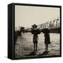 China 10MKm2 Collection - Walk on the City Walls at sunset - Xi'an City-Philippe Hugonnard-Framed Stretched Canvas